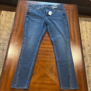 Express Indigo Skinny Jeans